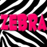 usp studios Zebra